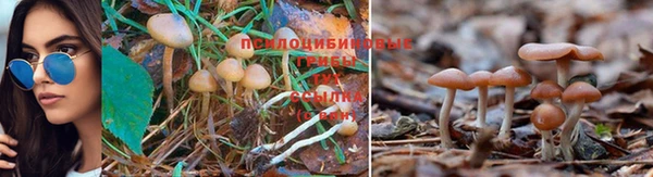 гидропоника Алексин