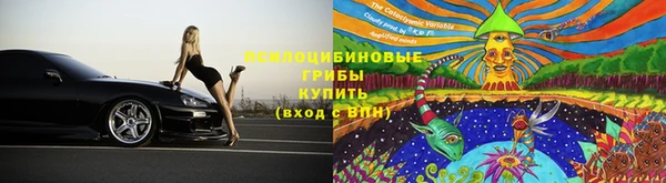 таблы Алзамай