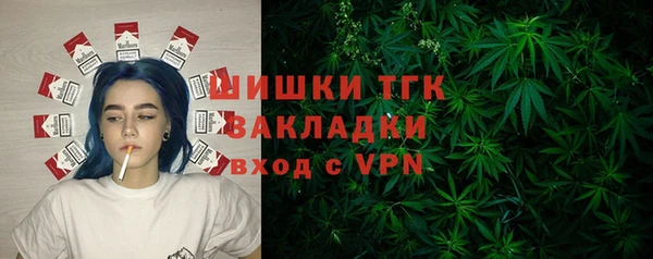тгк Снежинск