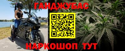 стаф Кингисепп